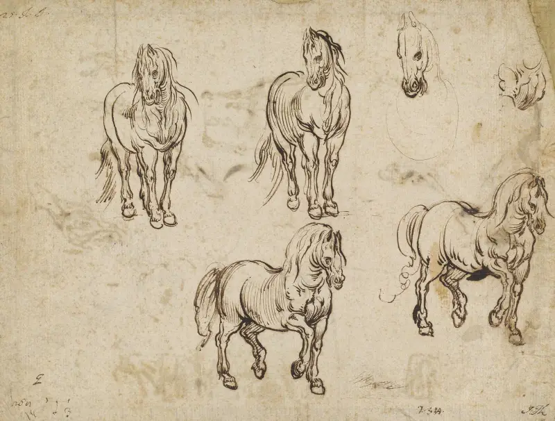 Studier av hästar av Jacques Callot