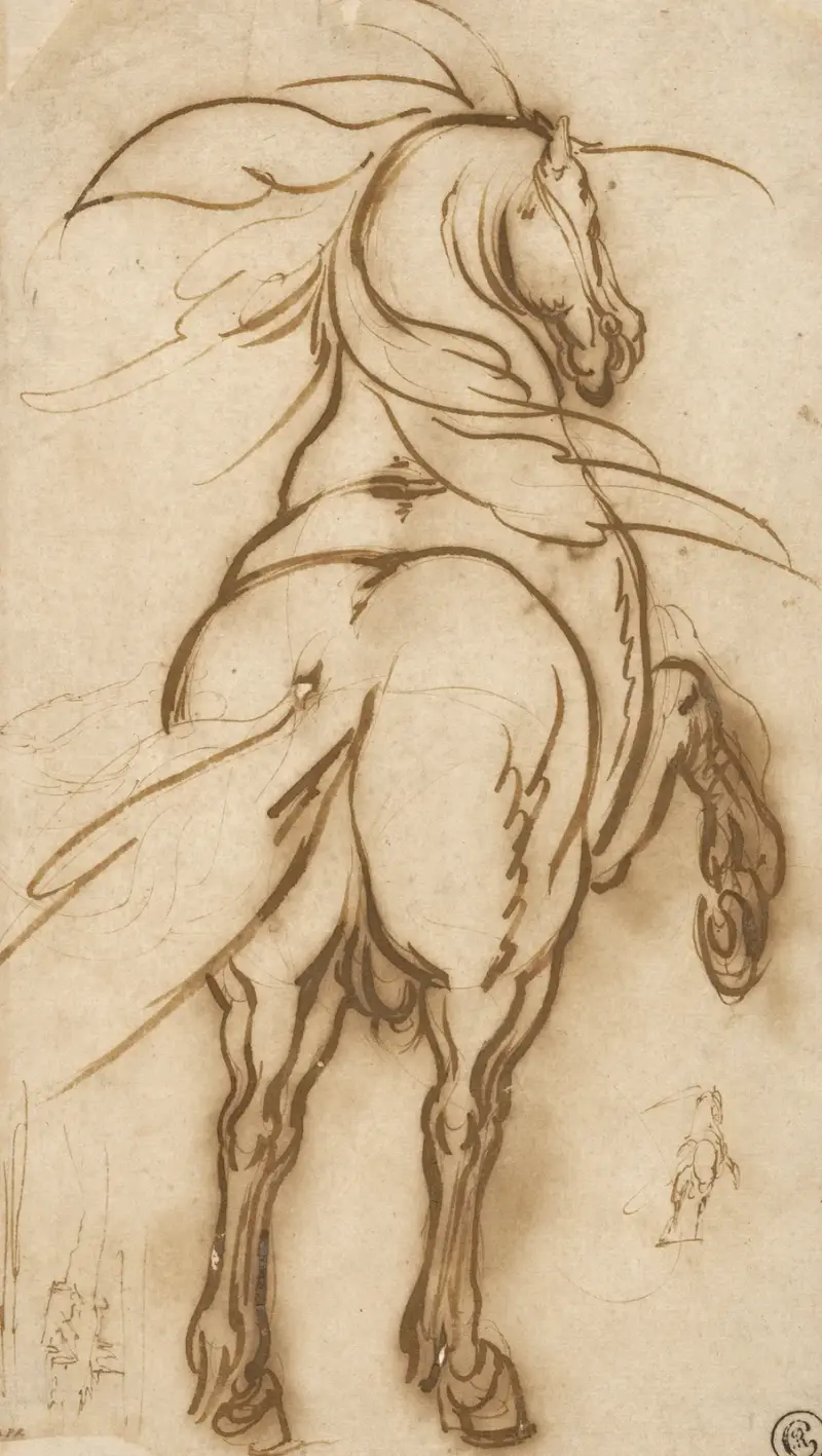 Studie av en stegrande häst av Jacques Callot