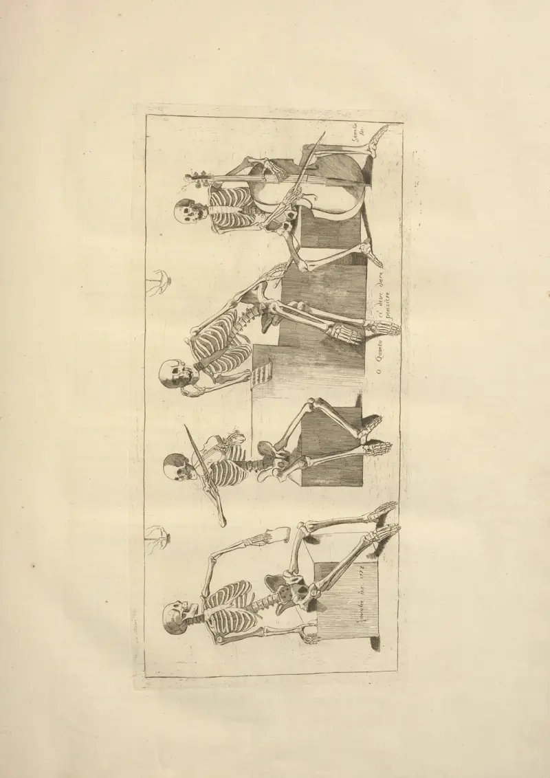 Nouveau recueil d’ostéologie et de myologie; dessiné d’après nature Pl.09 av Jacques Gamelin