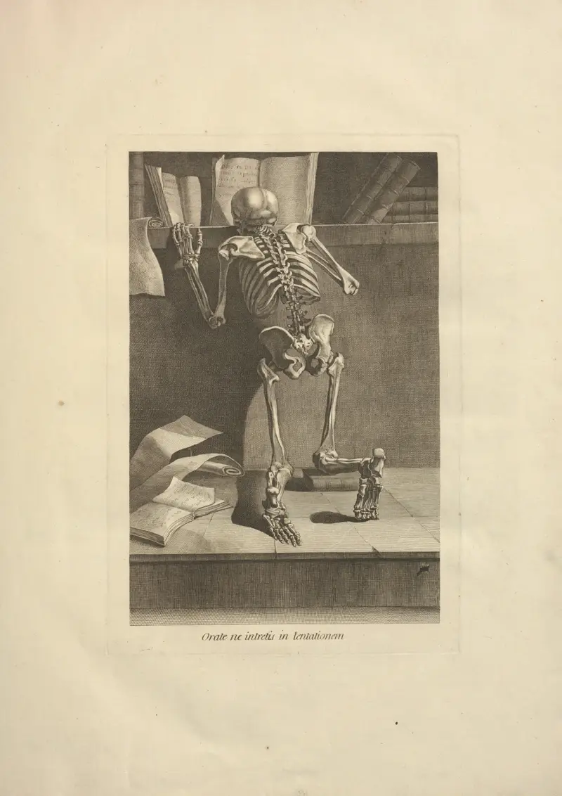Nouveau recueil d’ostéologie et de myologie; dessiné d’après nature Pl.04 av Jacques Gamelin
