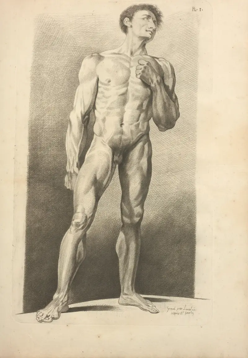 Nouveau recueil d’ostéologie et de myologie; dessiné d’après nature Pl.40 av Jacques Gamelin