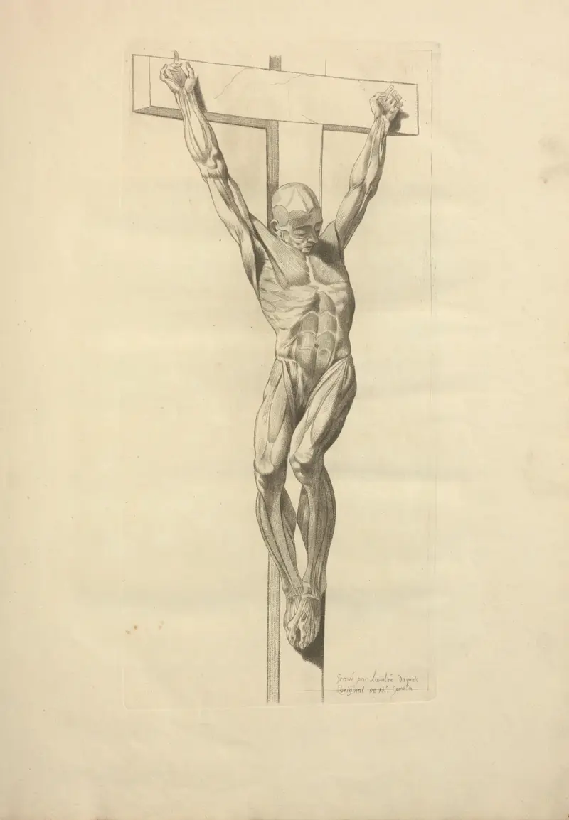 Nouveau recueil d’ostéologie et de myologie; dessiné d’après nature Pl.31 av Jacques Gamelin