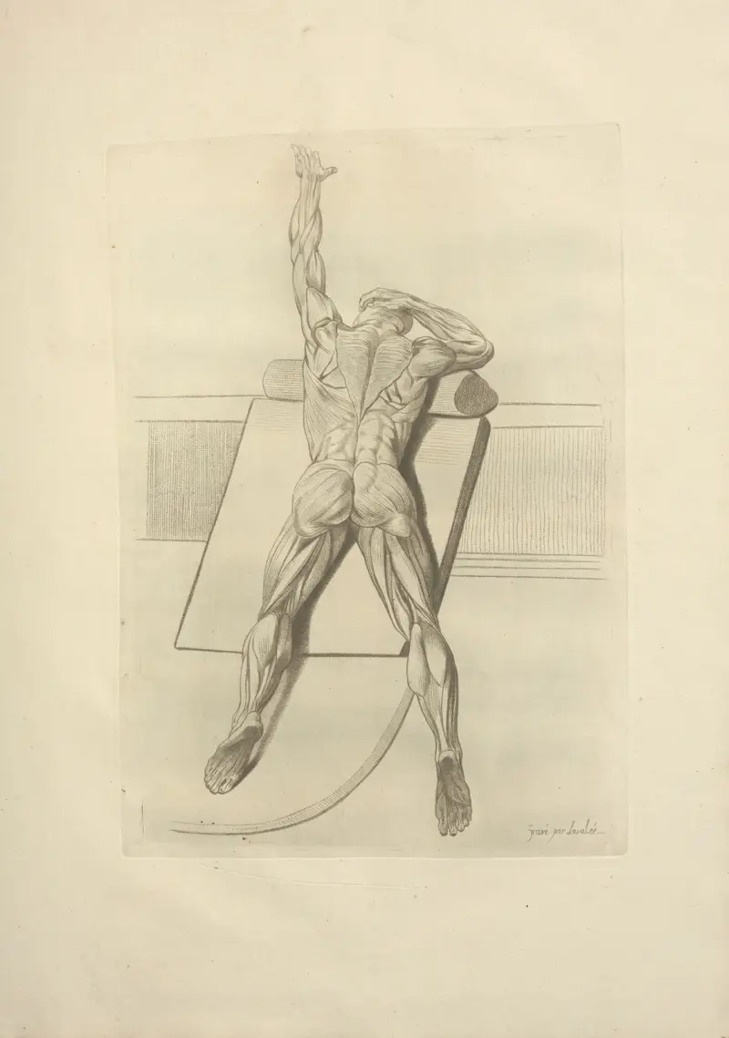 Nouveau recueil d’ostéologie et de myologie; dessiné d’après nature Pl.59 av Jacques Gamelin