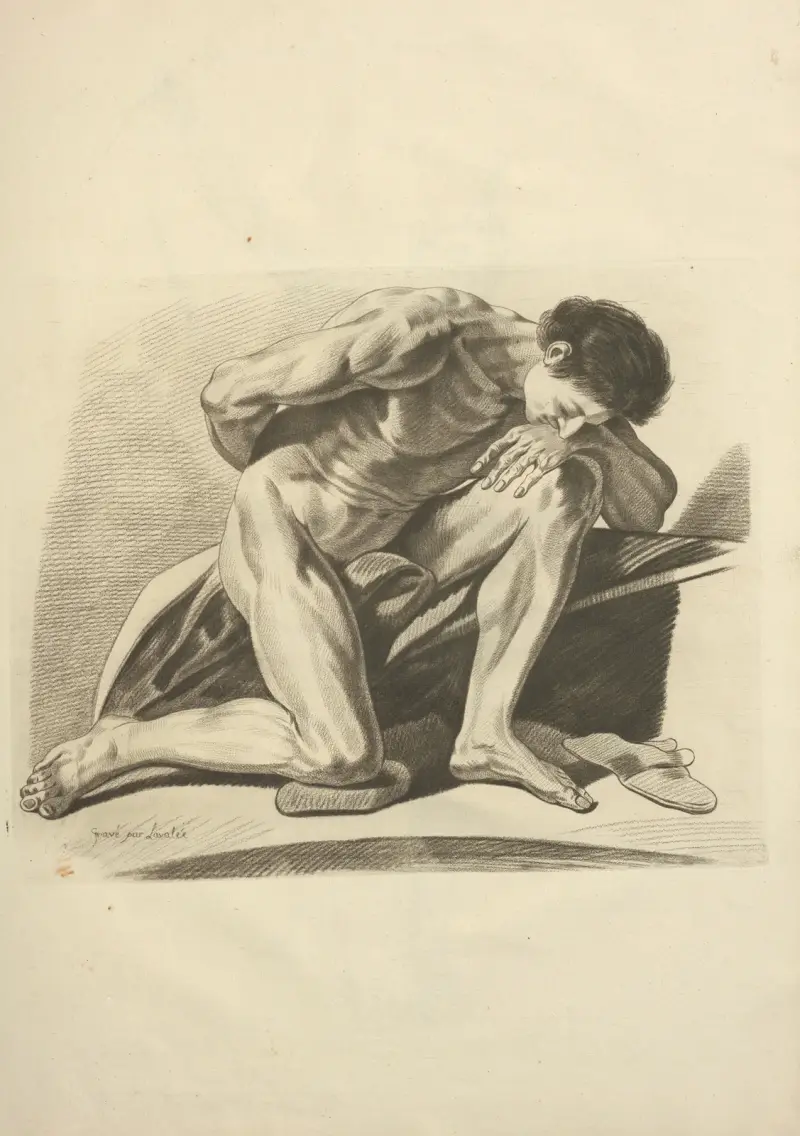Nowy zbiór osteologii i miologii; rysowany z natury Pl.66, Jacques Gamelin