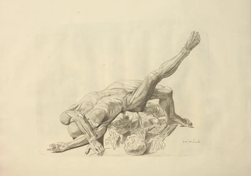 Nouveau recueil d’ostéologie et de myologie; dessiné d’après nature Pl.43 av Jacques Gamelin