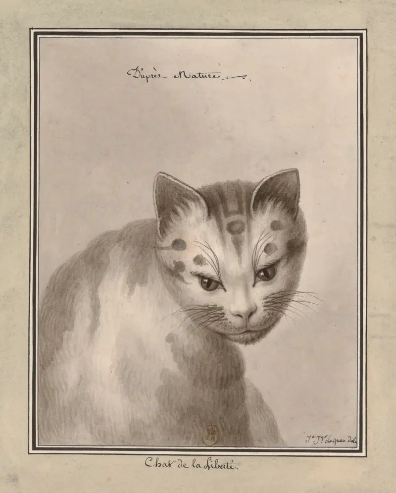 Chat de la liberté – d’après natur av Jean Jacques Lequeu