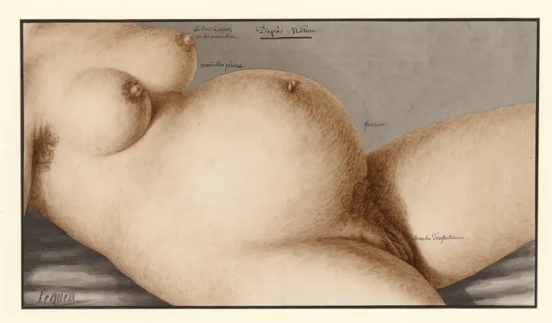 Efter naturen (havande kvinna) av Jean Jacques Lequeu