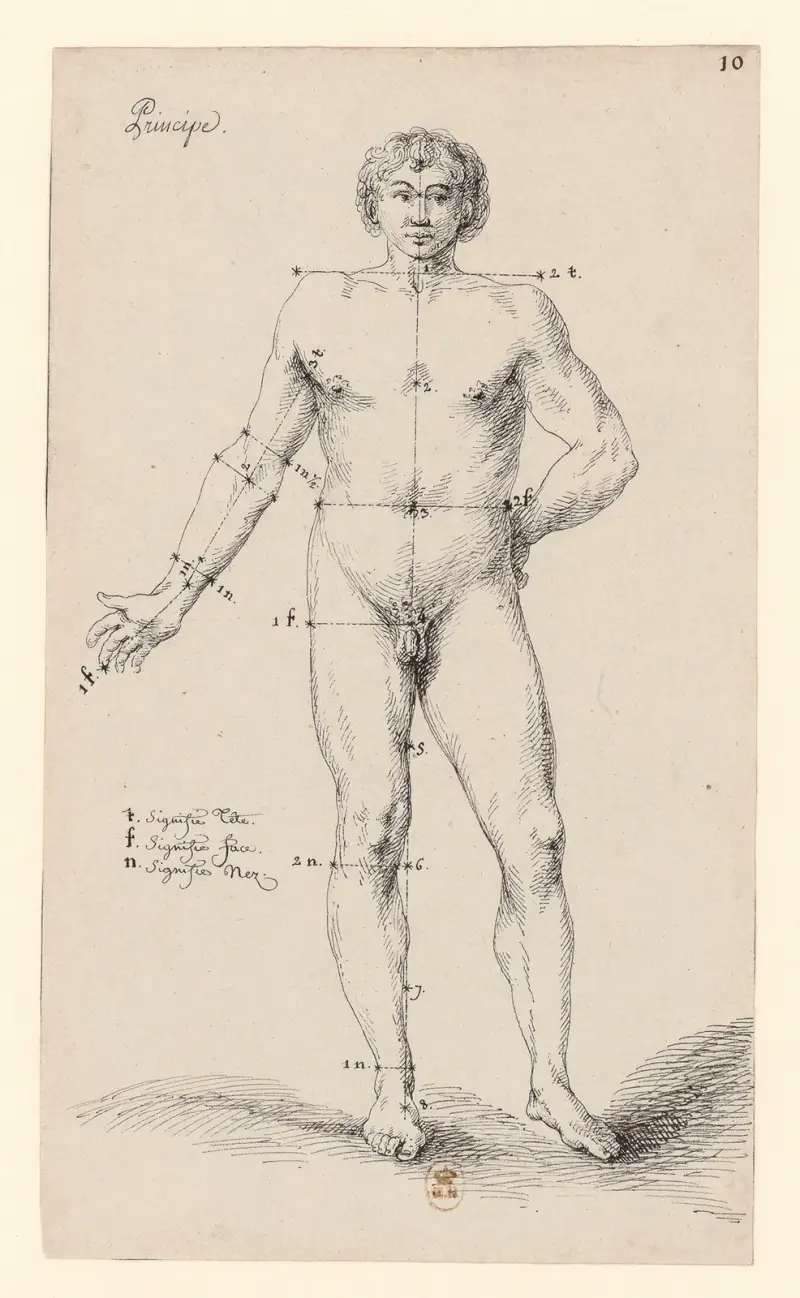 Prins (manlig anatomi) av Jean Jacques Lequeu