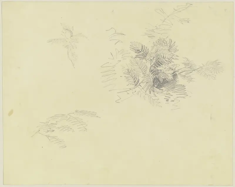 Flower, Jakob Becker