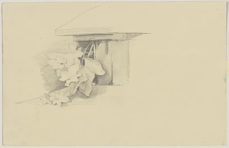 Ivy av Jakob Becker