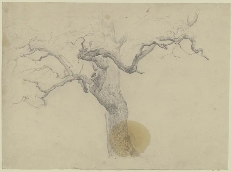 Blattloser Baum von Jakob Becker
