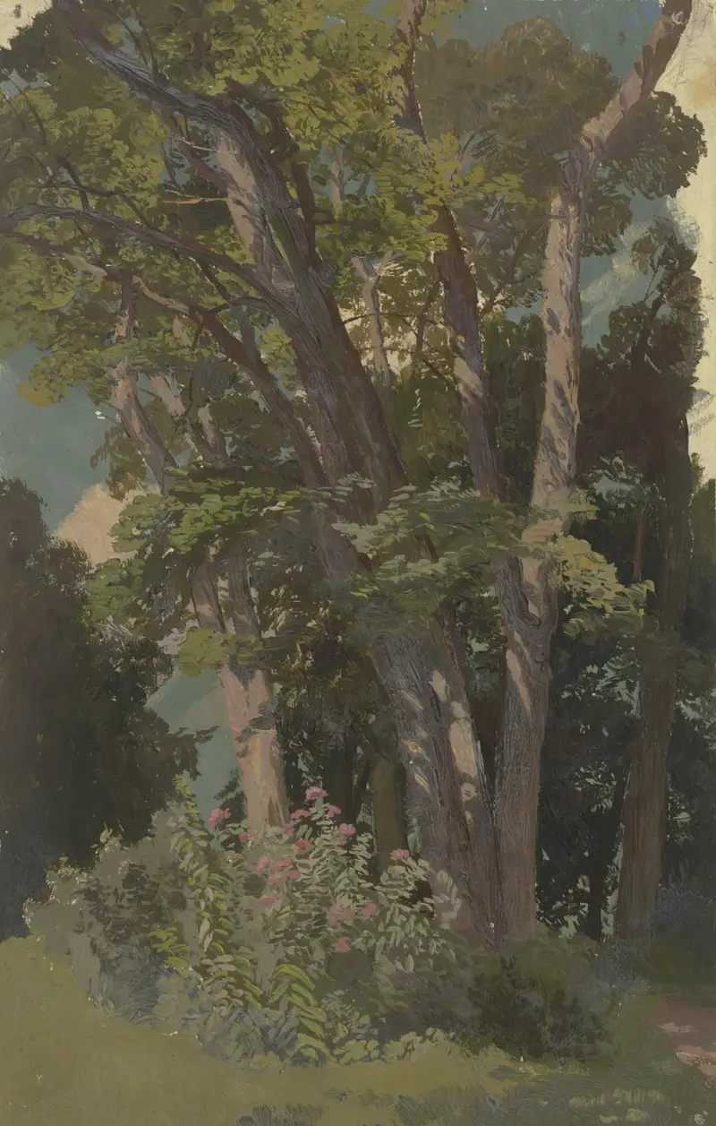 Studium parku, polana, Jakob Becker