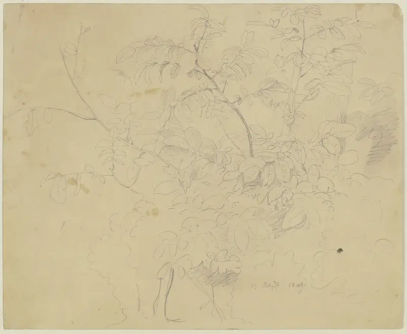 Shrubbery av Jakob Becker