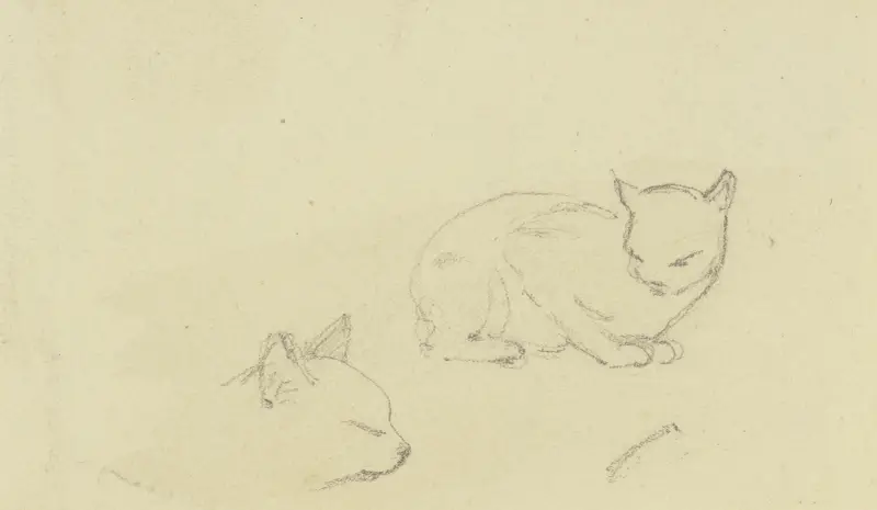 Studieblad; katter av Jakob Becker