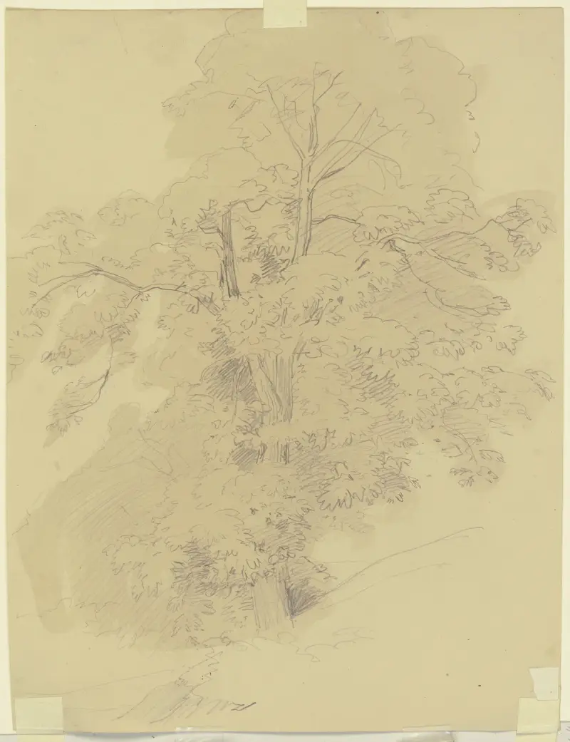 Tree av Jakob Becker