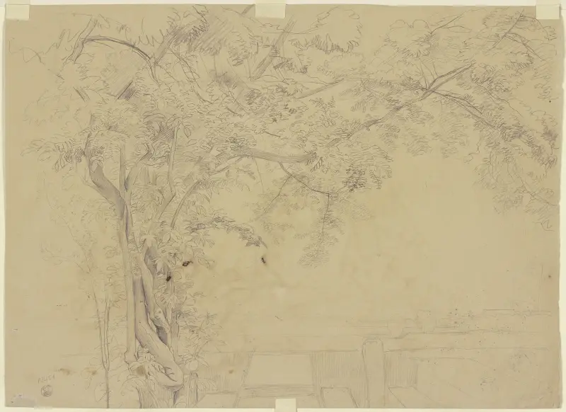 Tree von Jakob Becker