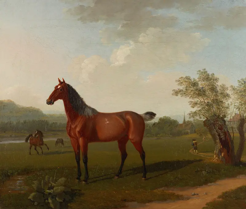 Pferde in Landschaft von Johann Jakob Biedermann