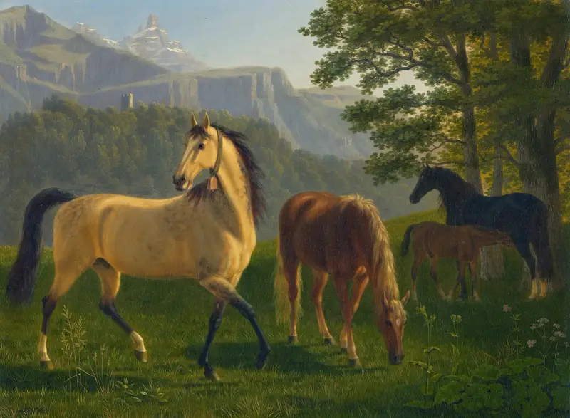 Hästar i landskap av Johann Jakob Biedermann