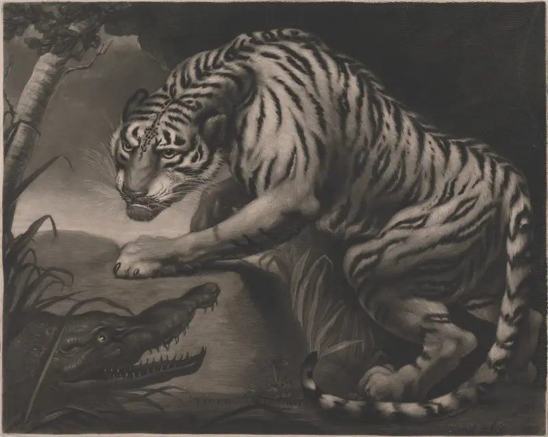 Tiger und Krokodil von James Northcote