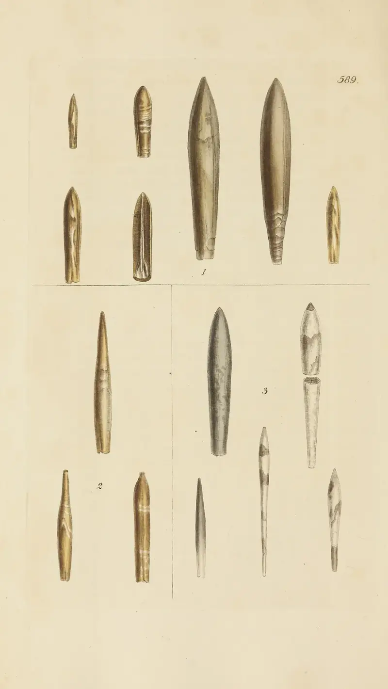 Mineralconchologi från Storbritannien, pl. 377 av James Sowerby