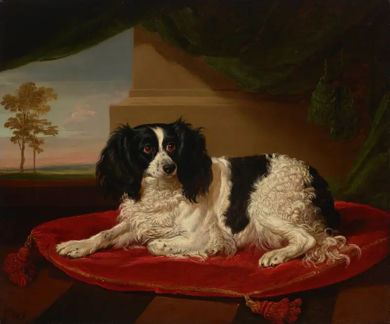 En King Charles-spaniel på en röd kudde av James Ward