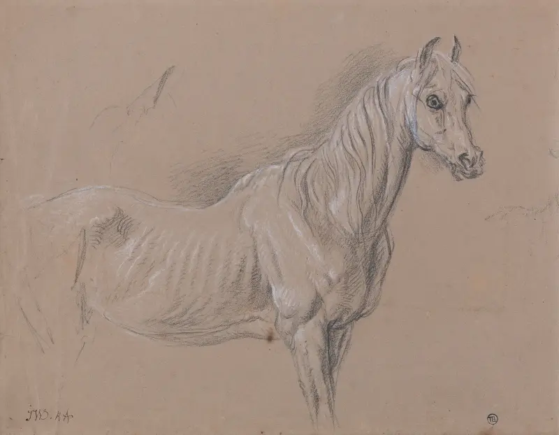 A Mare; Possibly a Study for ‘L’Amour de Cheval’ av James Ward