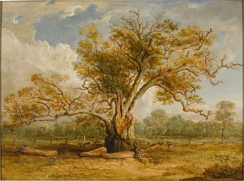 En ek i Richmond Park med en hjord dovhjortar intill av James Ward