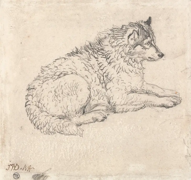 Arktisk hund, vänd åt höger av James Ward