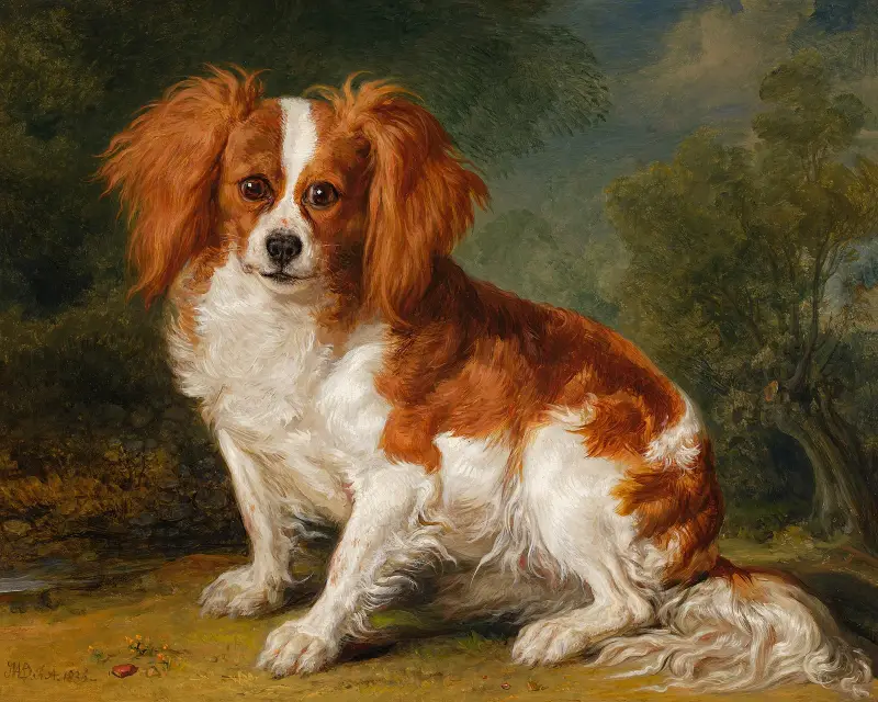 Dash, Ward’s Spaniel av James Ward