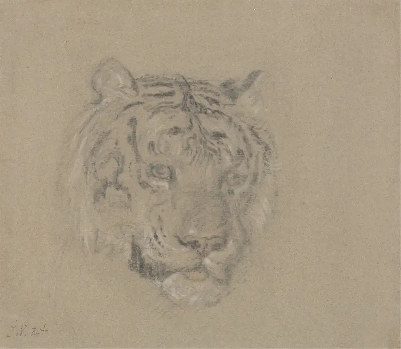 Head of a Tiger av James Ward