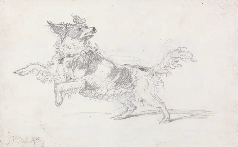 Lady Londonderrys hund av James Ward