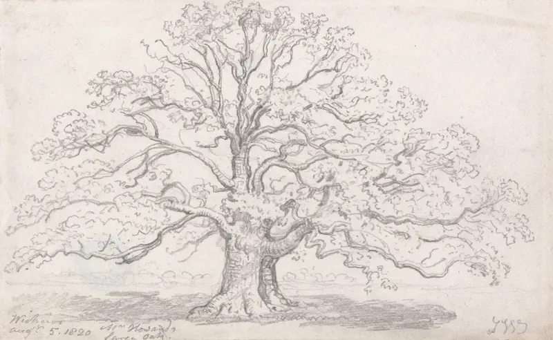 Mr. Howard’s Large Oak, August 5, 1820 av James Ward