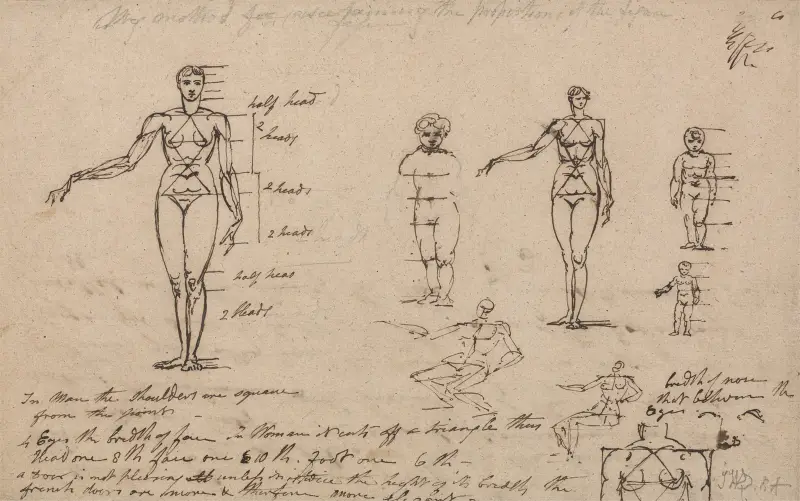 Studien zur Anatomie, zu Maßangaben und zum Schreiben von James Ward