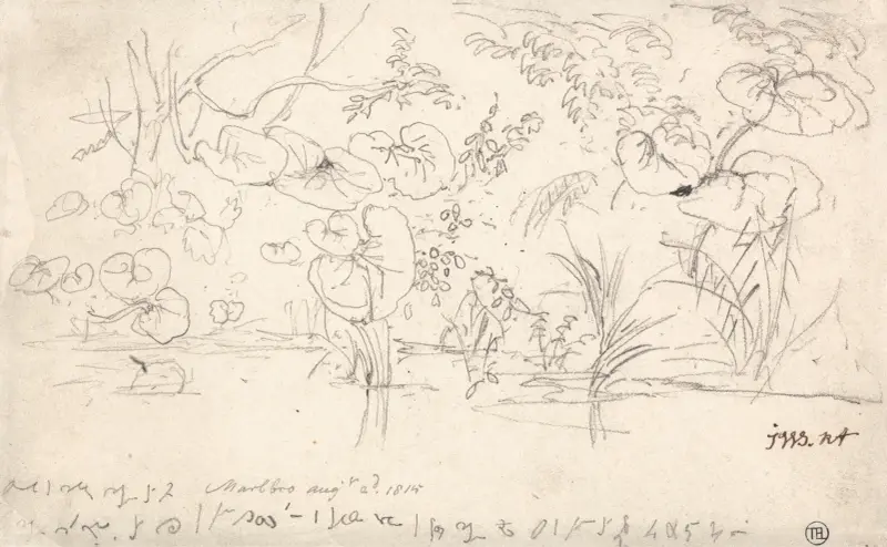 Studier av växter, 2 augusti 1815 av James Ward