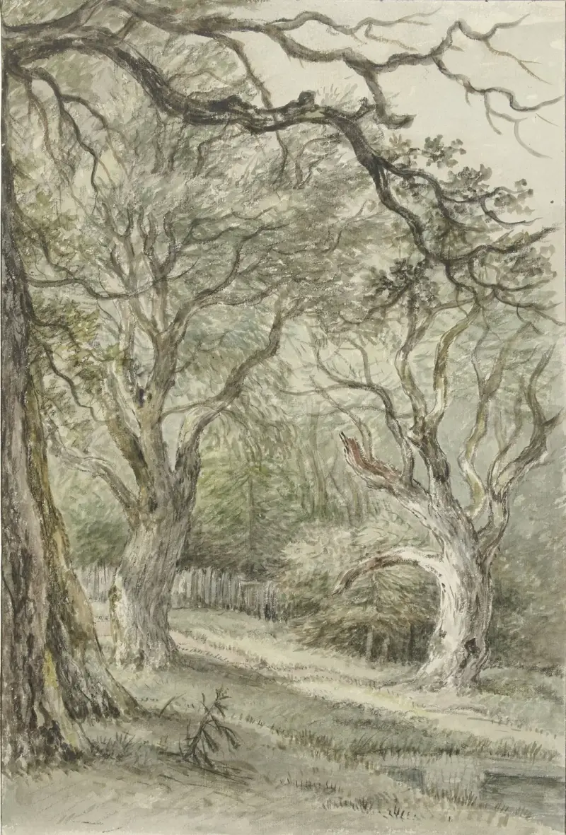 Waldansicht von Jan Hulswit