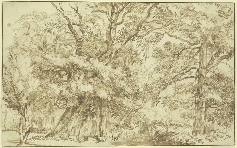 Waldlandschaft von Jan Lievens