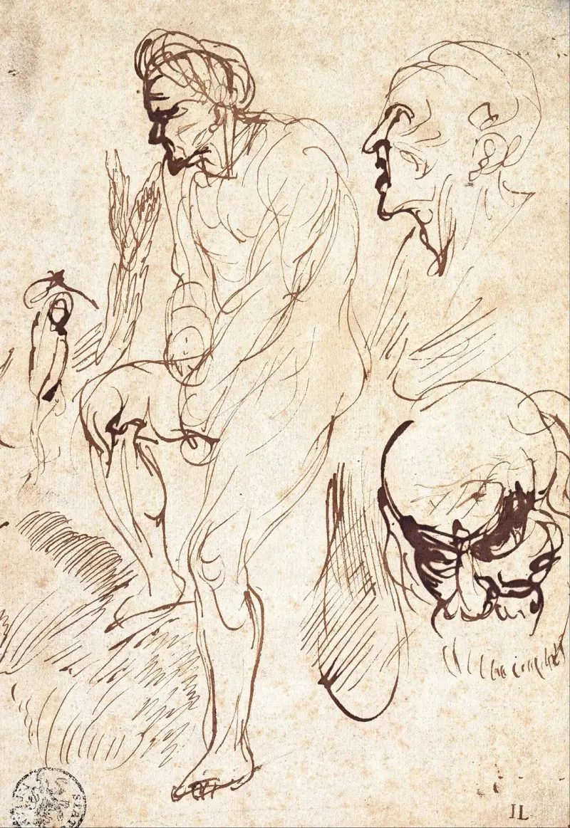 Studien nach dem Modell von Jan Lievens