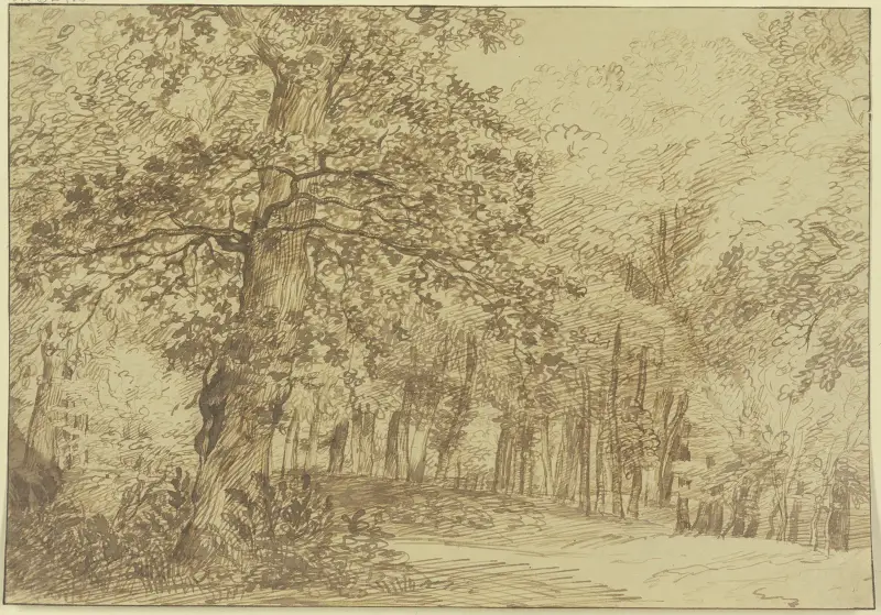 Waldpartie, links vom Wege eine grosse Eiche av Jan Lievens