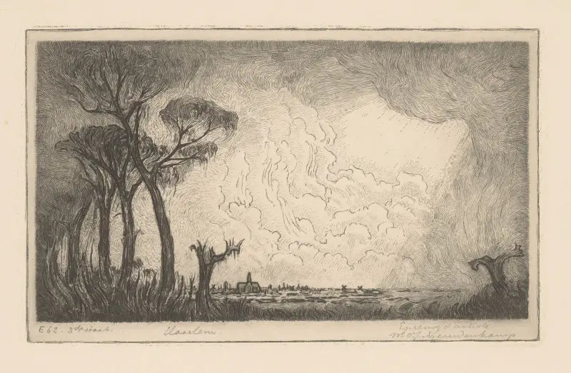 Blick auf Haarlem von Wijnand Otto Jan Nieuwenkamp