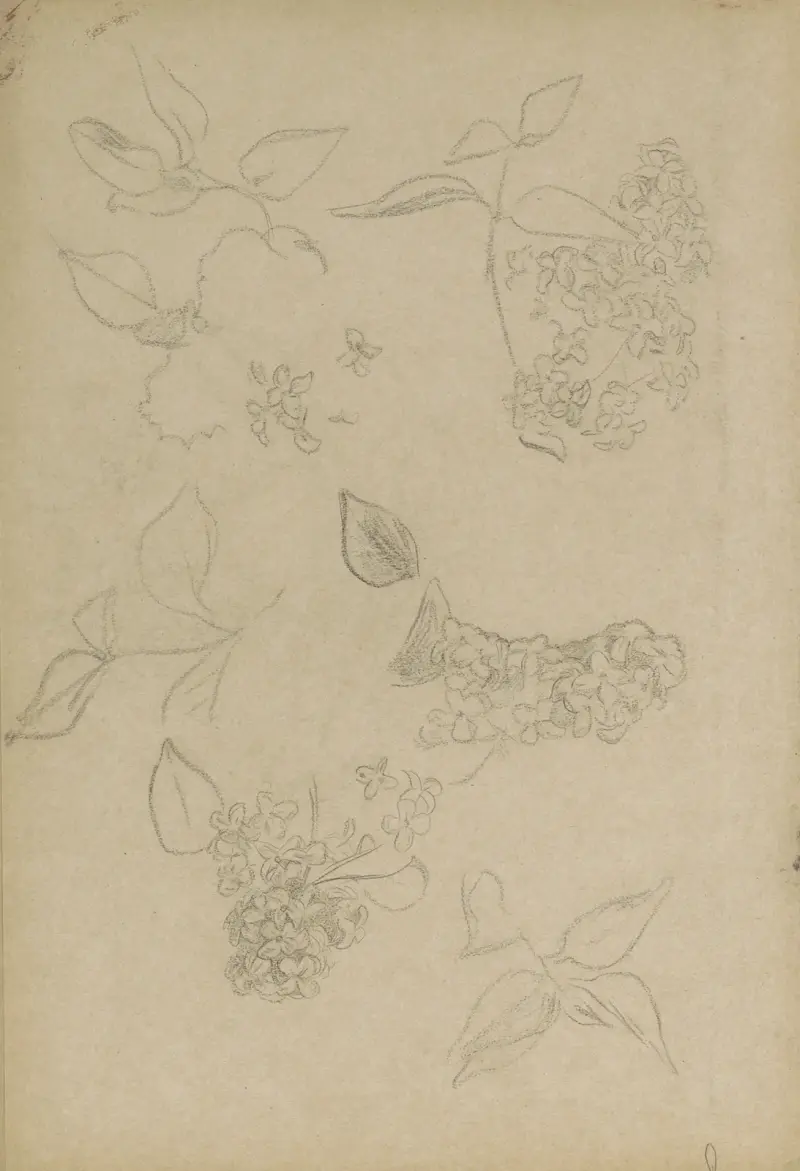 Blad och hyacinter av Jan Veth