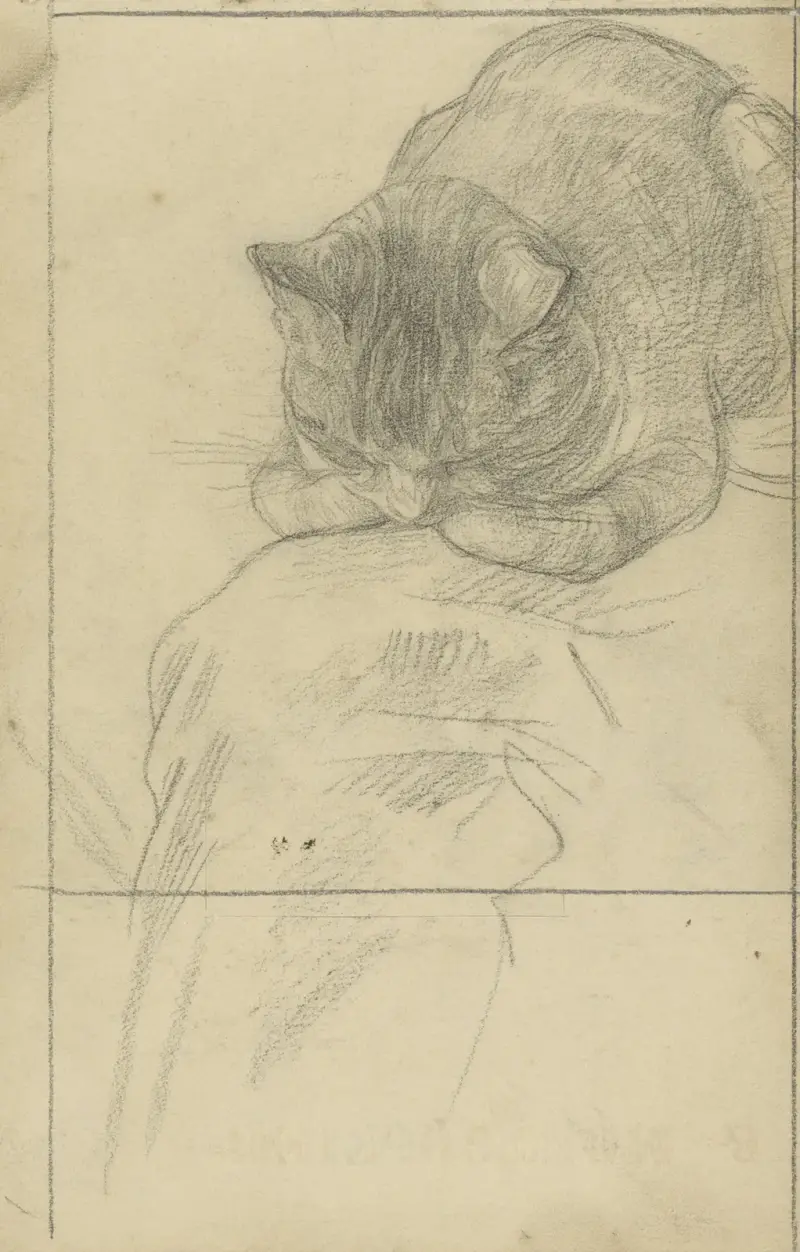 Studier av en katt av Jan Veth