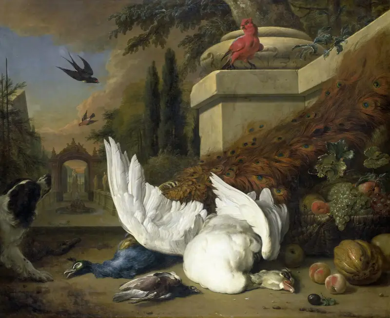 En hund med en död gås och påfågel (En studie av vilt och frukt) av Jan Weenix