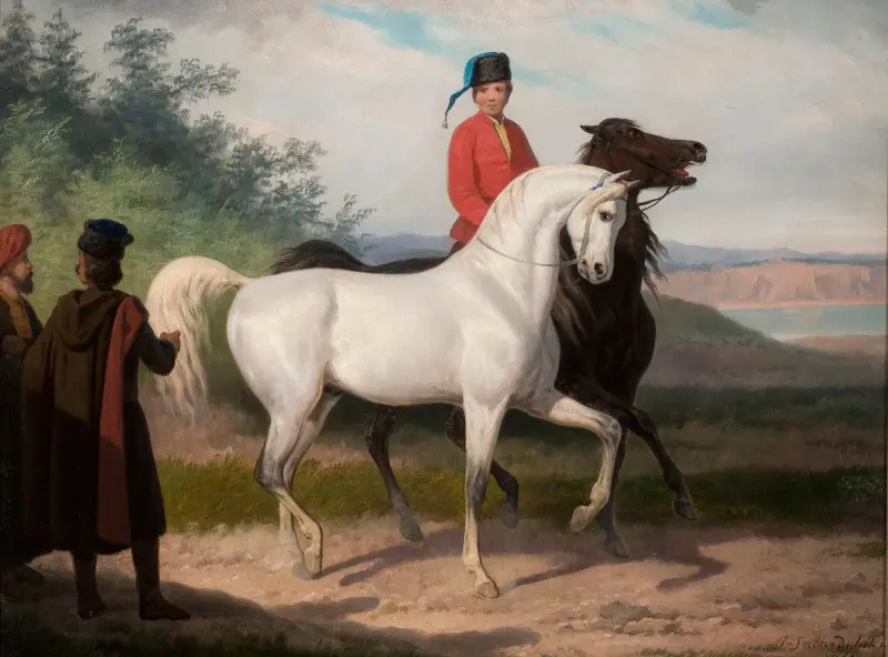 Purchase of an Arab horse av January Suchodolski