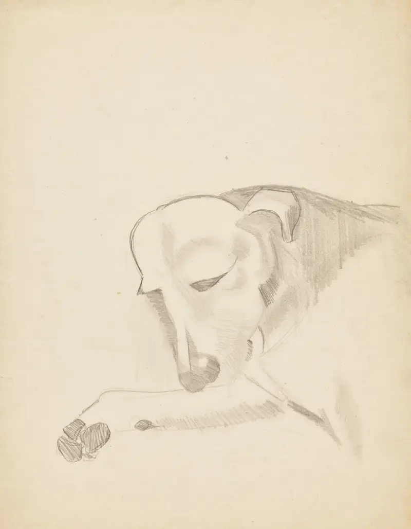Armand av Jean Brusselmans