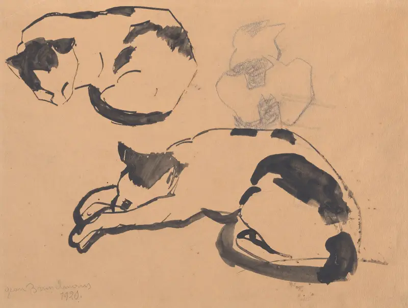 Katter av Jean Brusselmans
