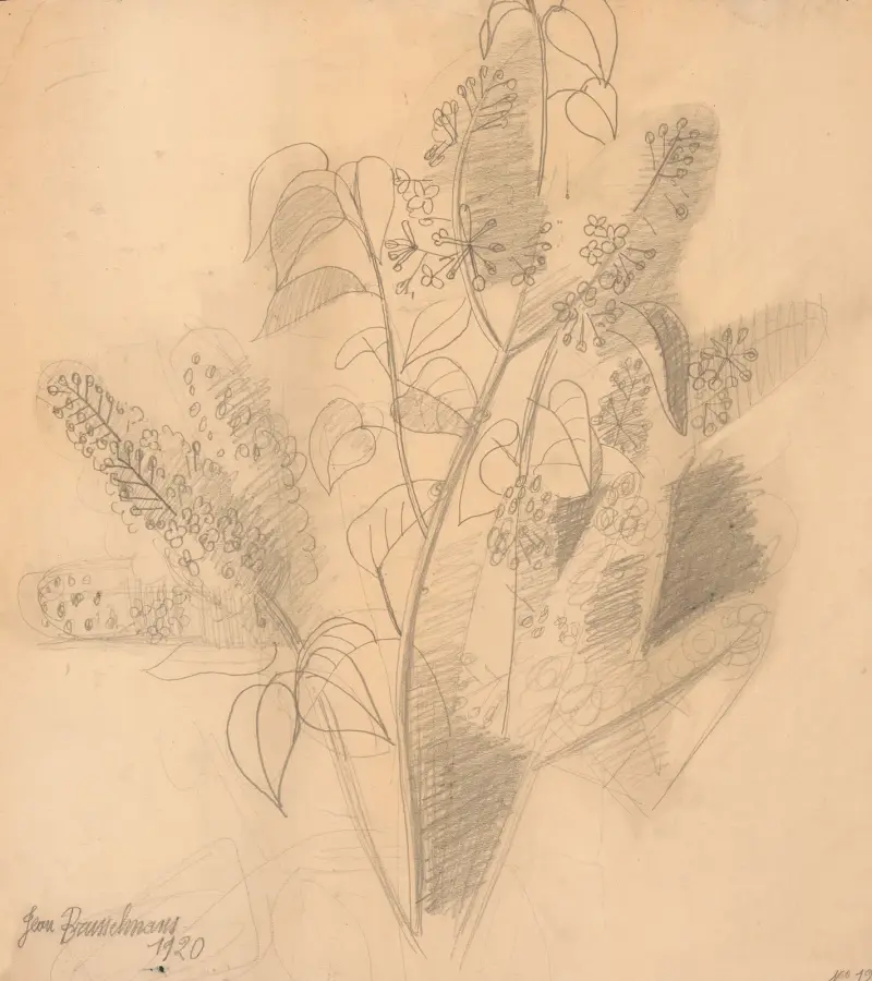 Blommor av Jean Brusselmans