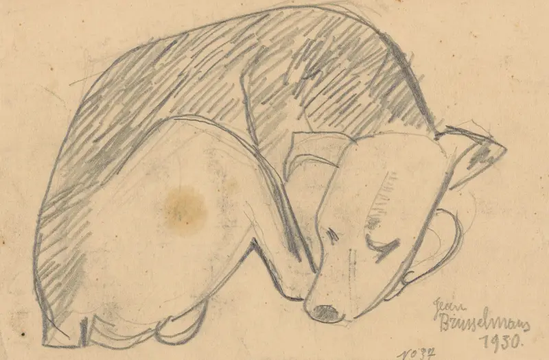 Sovande hund av Jean Brusselmans