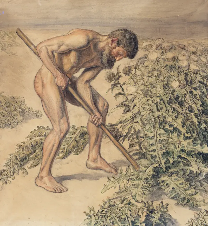 Adam drawing up Thistle av Joakim Skovgaard