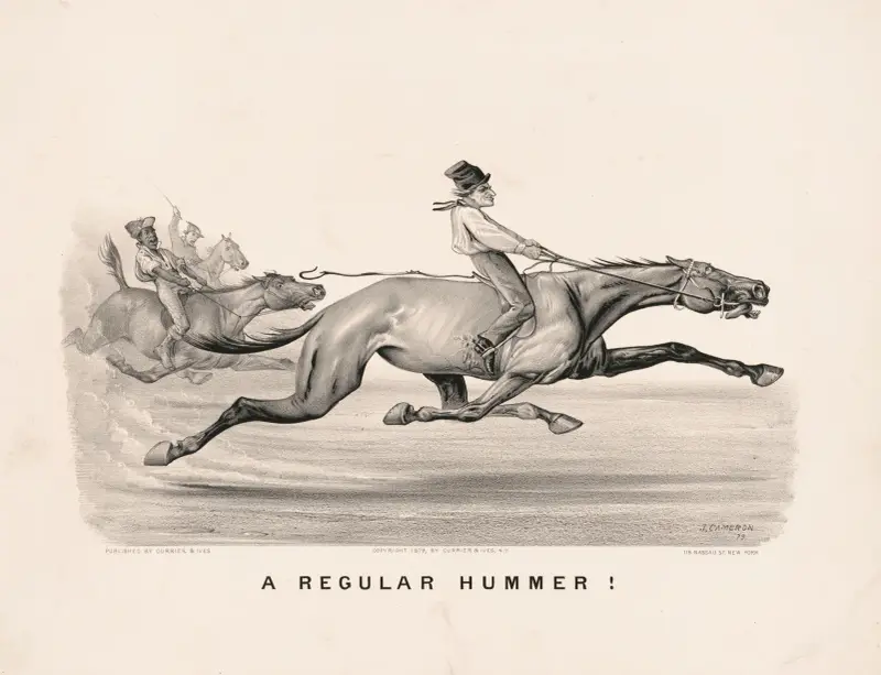 A regular hummer!, John Cameron