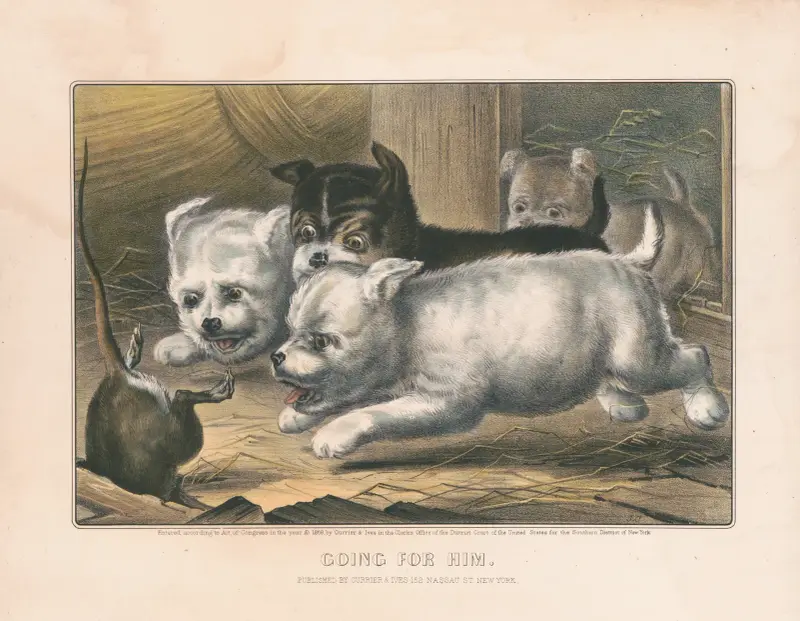Going for him von John Cameron